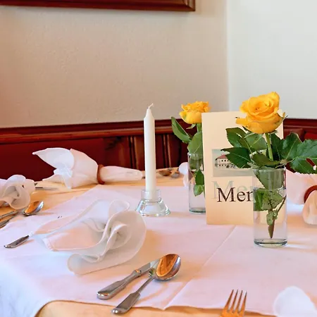 Отель Weissl Attnang-Puchheim